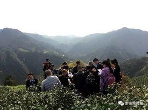 雷山县视频爆料,揭秘神秘民族风情与文化传承 第2张 雷山县视频爆料,揭秘神秘民族风情与文化传承 第2张