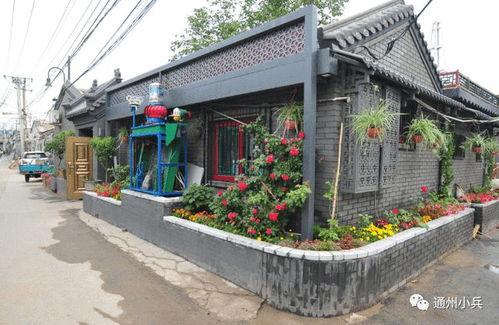 西施皮肤最新爆料2025,惊艳亮相，美艳不可方物